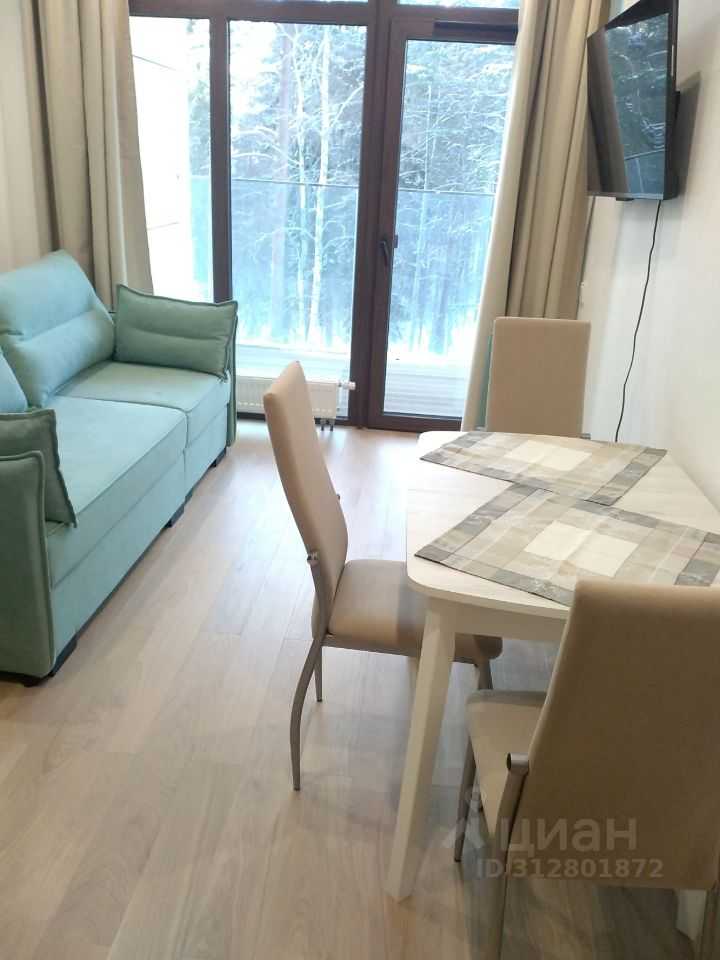 1-комнатная квартира, 45 м² — фотография 3