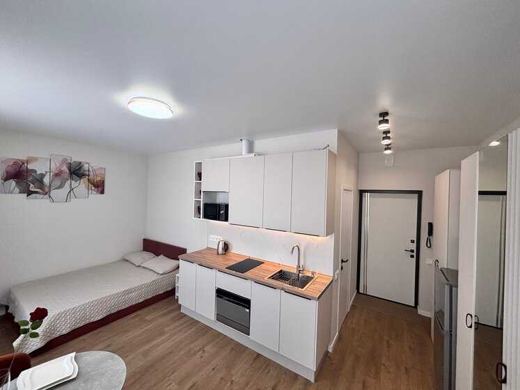 1-комнатная квартира, 24,9 м²